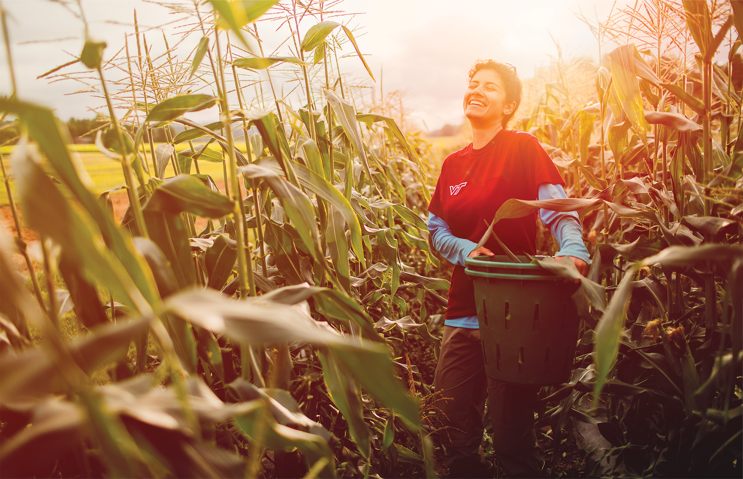 Image of a student carrying a basket in a cornfield