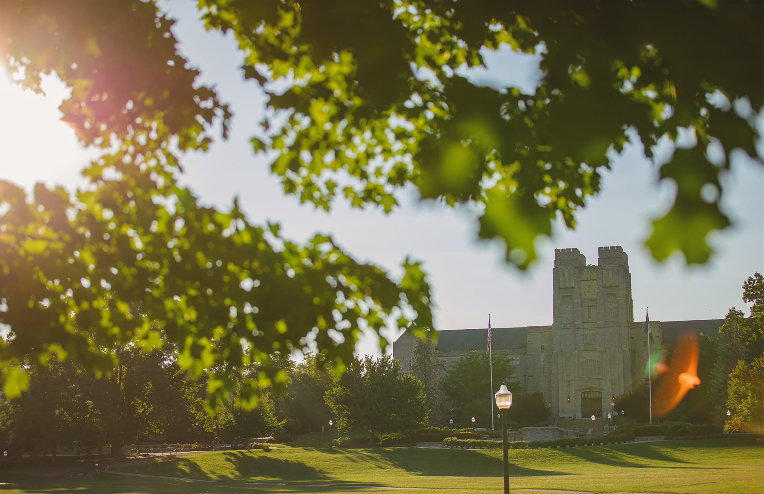 Image of Virginia Tech campus through the trees